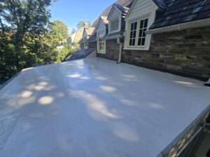 Seamless Silicone Roof Coating for Long-Lasting Protection