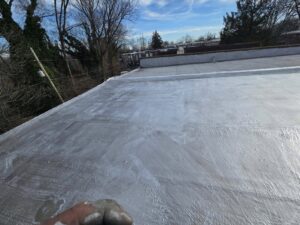 Roof Cleaning, Flat Roof Coating & Fascia Upgrade